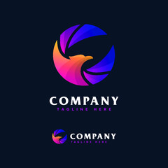 Bird Logo Design Vector