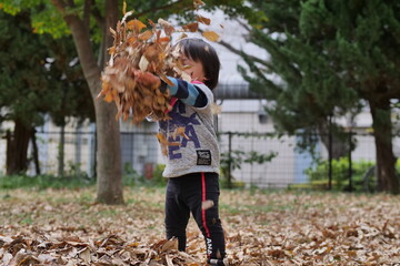 秋