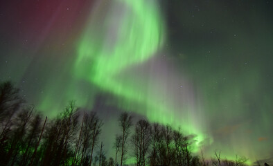 The aurora borealis brightens a dark Alaska winter night