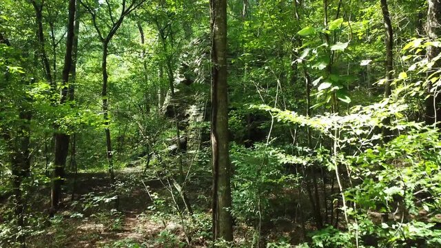 Ruins of grist mill in Columbia, Alabama