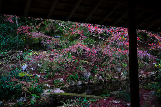 2 911 Best 和風庭園images Stock Photos Vectors Adobe Stock