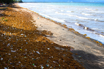 Sea water with waves, seaweed and garbage. Aquatic trash on tropical beach. Plastic pollution in...