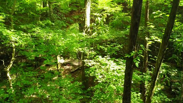 Ruins of grist mill in Columbia, Alabama