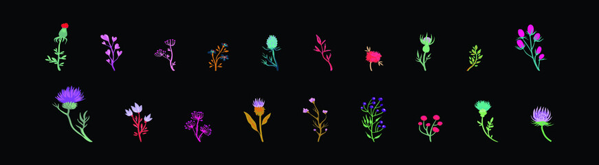set of wild flower cartoon icon design template with various models. vector illustration isolated on background