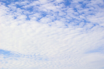 晴天の秋空と雲