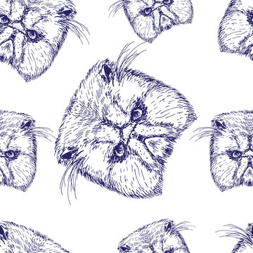 Abstract seamless pattern with hand drawn cat heads, vector illustration