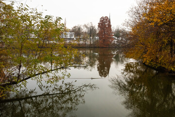 Colorful Trees Reflected on the Lake on a Cloudy Day in Late Autumn