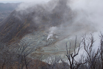 In the volcanic area around Mt Fuji in Japan, many dead trees and a barren landscape can be seen, Sulphur vapor rises into the sky it is void of people.