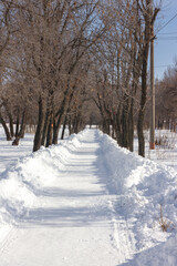 winter park, cleared path in snowdrifts in the park on a sunny day