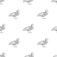 Seamless pattern with hand drawn ducks, vector illustration
