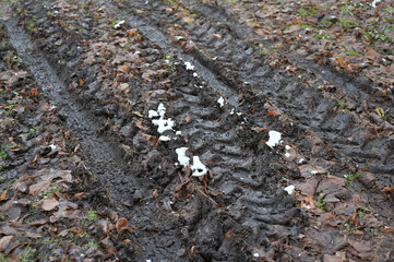 Dirt road