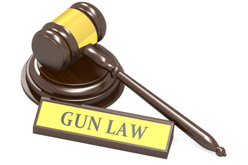 Judge gavel and gun law banner