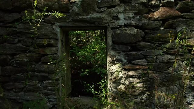 Old grist mill ruins of foundation and mill trace in Georgia - McCosh mill
