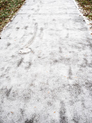 asphalt path covered by ice in city park after freezing rain on cold autumn day