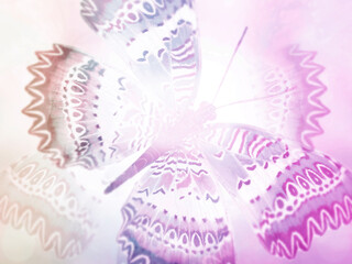 Obraz premium Natural background with natural butterfly