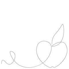 Apple fruit on white background. Vector illustration