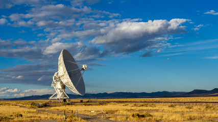 dish at sunset