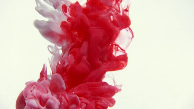 Colorful red and white paint drops from above mixing in water. Ink swirling underwater. Cloud of ink isolated. Colored abstract