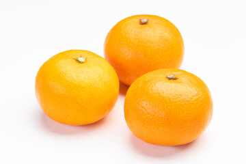 みかん 白バック