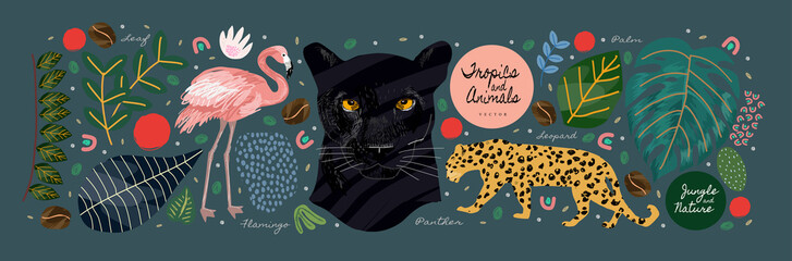 Jungle, animals and tropics. Vector illustrations of flamingo, panther, tiger, leopard, palm leaves, flowers and textures. Drawings for poster, background and cover © Ardea-studio