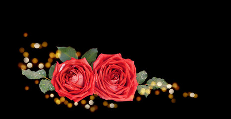 Red rose flowers arrangement with yellow lights on black