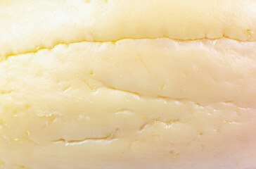 Natural wooden texture of bone avocado. Beige eco background. Close up.