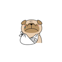 怪我をしたパグ