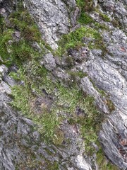 waterfall in the mountains