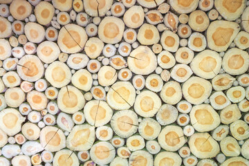 Piece of wood cross section for background