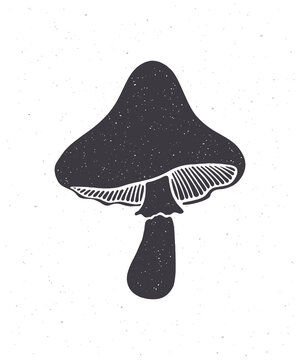 recommend clip art: Silhouette of edible mushroom. Vector illustration. Clipart for packaging, menus, signboards, showcases, textiles, clothes, greeting cards. Isolated white background