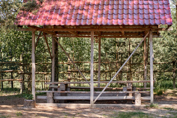 Covered gazebo for a picnic in a pine forest. Weekend in nature.