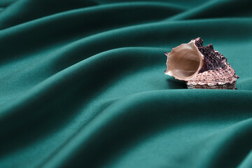 Shell on a green draped silk background. Creative background.Selective focus,copy space. 