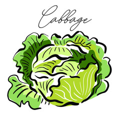 Vegetables, cabbage - icon, element for patterns, backgrounds, labels, packaging, design, banners, flyers, handmade art decoration. Doodles, graphics, sketch, vector illustration.