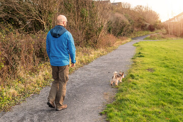Bald man in his 40s walking on a path in a park with Yorkshire terrier on a leash. Concept animal care and outdoor activity, friendship. The model is in blue jacket and green trousers, grey beard