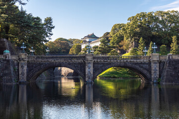Fototapeta na wymiar 皇居正門石橋と鉄橋（二重橋）と伏見櫓と小さな水鳥