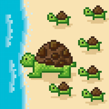 Sea turtle pixel art. Vector picture. Turtles and baby turtles into the sea.