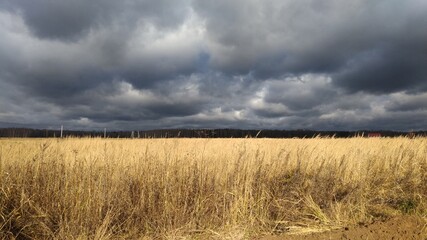 clouds over the field