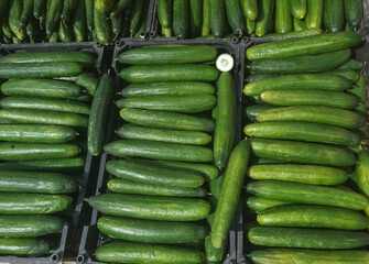 In the boxes in the window are ripe green cucumbers for sale