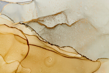 Alcohol ink art.Mixing liquid paints. Modern, abstract colorful background, wallpaper. Marble texture.Translucent colors