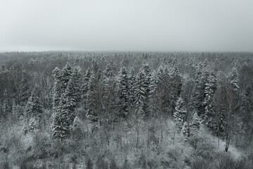 Drone aerial panoram of snowy forest