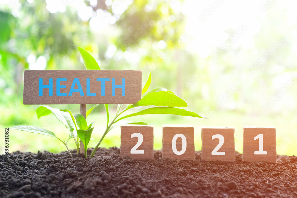 Wall mural Year 2021 investing on family and health insurance as priority concept. Wooden blocks 2021 with plant at sunrise on natural background.