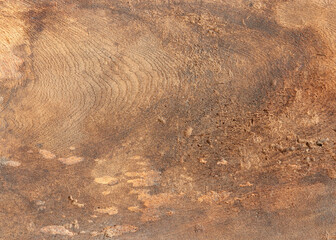 texture of old wood panel, background for text or image