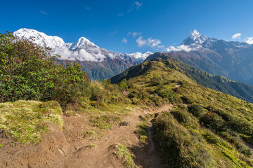 Beautiful trekking trail in Mardi Himal trekking route in Annapurna mountains range subrange of Himalya mountains range, Nepal - obrazy, fototapety, plakaty