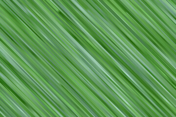 Green lines abstract background. Great illustration for your needs.