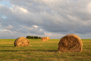Rural landscape with field and haystacks during sunset