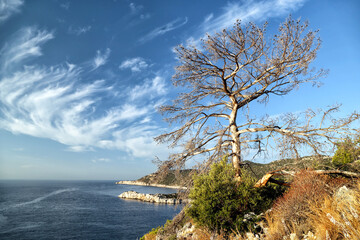View of the bays of the Mediterranean Sea from the Lycian Way in Turkey.