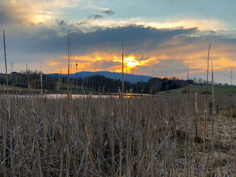 Sunset over Klet mountain and pond with reed in forefront, Bohemia, Czechia.