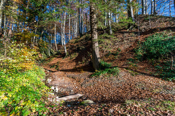 Autumn hike on the Hoechsten near Illmensee on Lake Constance