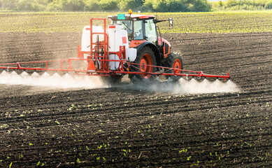 Fototapeta premium Tractor spraying land in sunset.