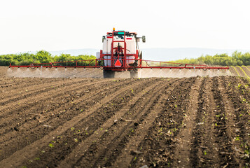 Fototapeta premium Tractor spraying land in sunset.